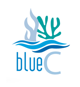 bluec_logo