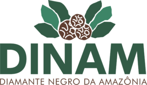 dinam_logo