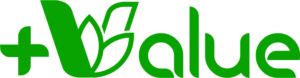 maisvalue_logo