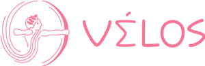 velosedu_logo